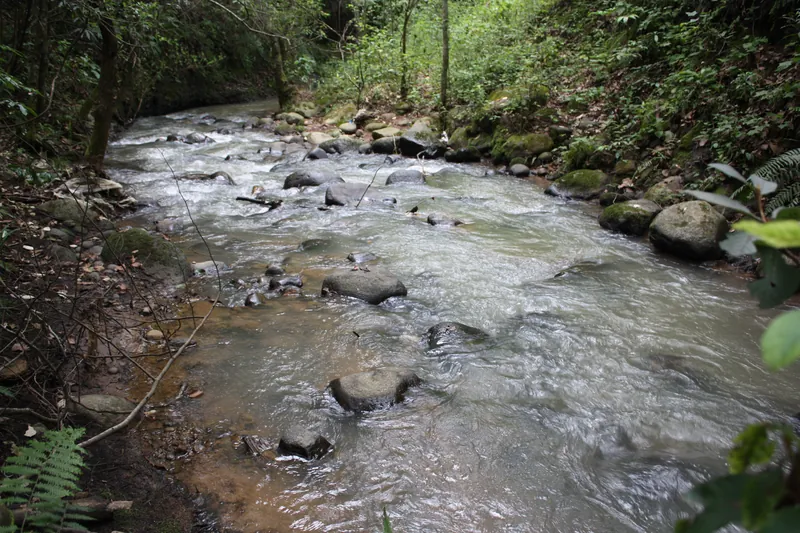 Río San Mateo entre piedras y vegetación, al fondo del rancho